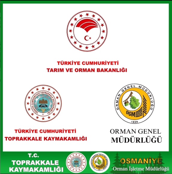 Yeşil Vatan 